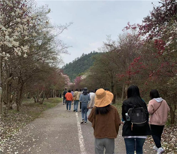 市古鎮(zhèn)投資公司開展“三八”國際勞動(dòng)?jì)D女節(jié)系列慶?；顒?dòng)