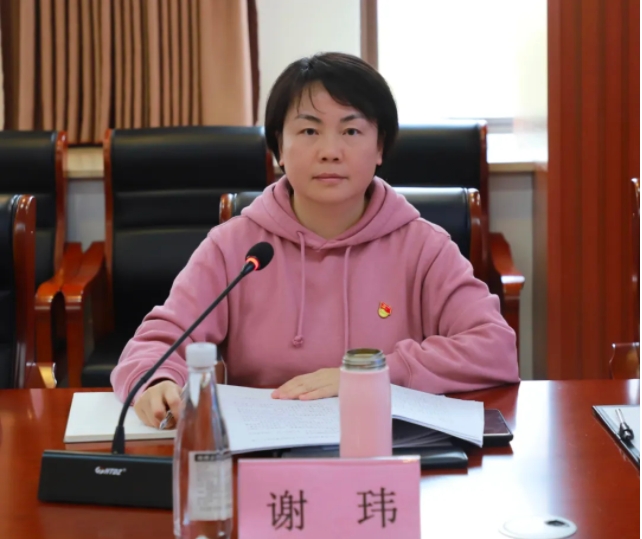 市古鎮(zhèn)投資公司召開全面從嚴(yán)治黨暨黨風(fēng)廉政建設(shè)專題會議