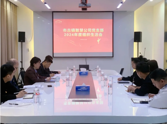 市古鎮(zhèn)投資公司各黨支部召開2024年度組織生活會