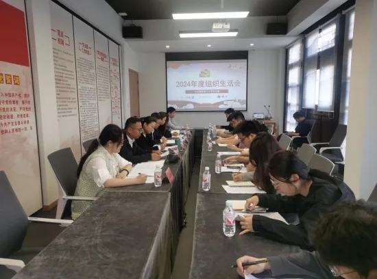 市古鎮(zhèn)投資公司各黨支部召開2024年度組織生活會