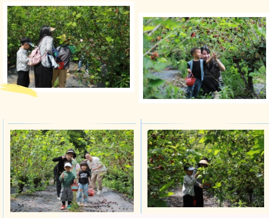 市古鎮(zhèn)投資公司工會(huì)組織開(kāi)展職工親子活動(dòng)